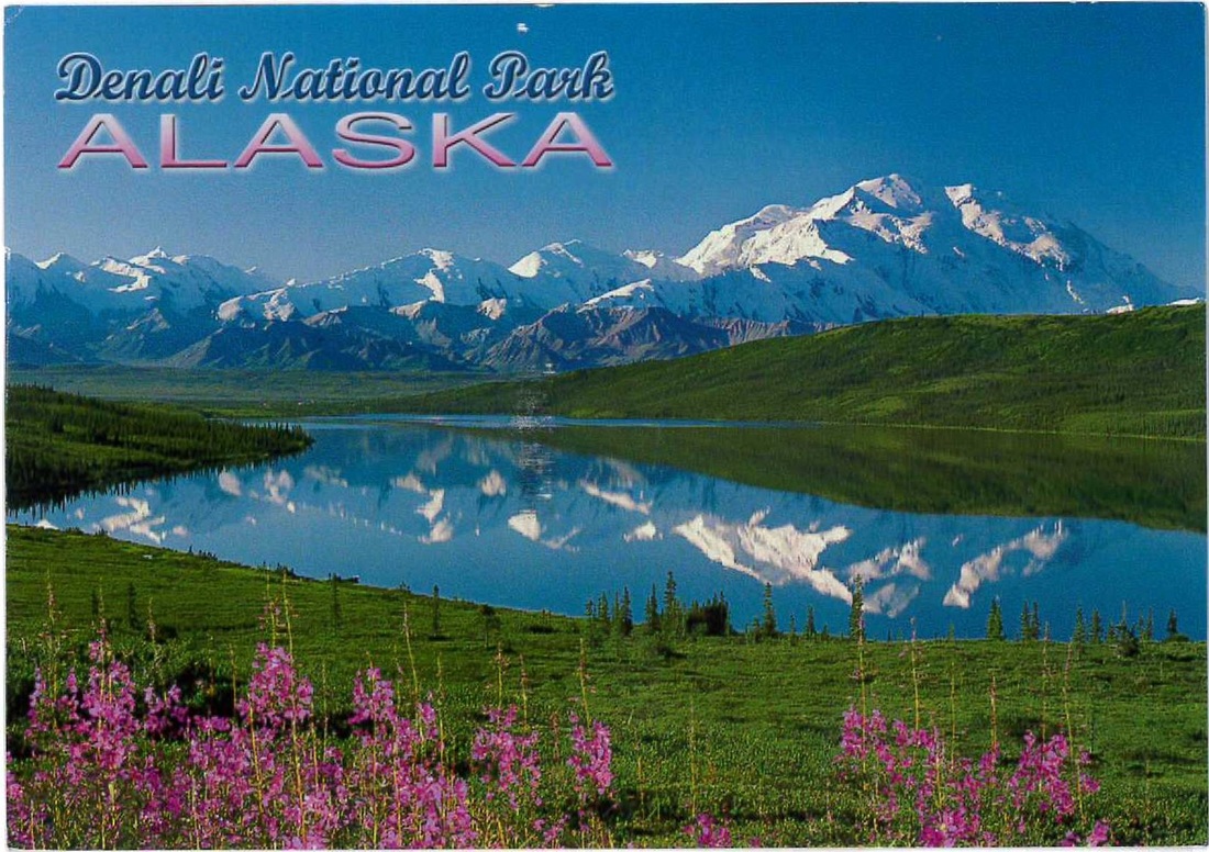 Postcard from Denali National Park in Alaska