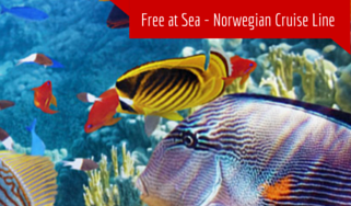 Norwegian Cruise Line summer offer