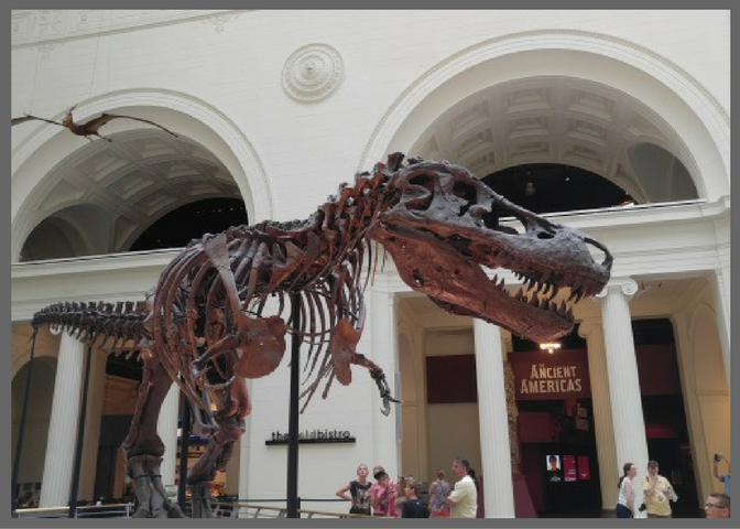The Field Museum in Chicago - Brentwood Travel