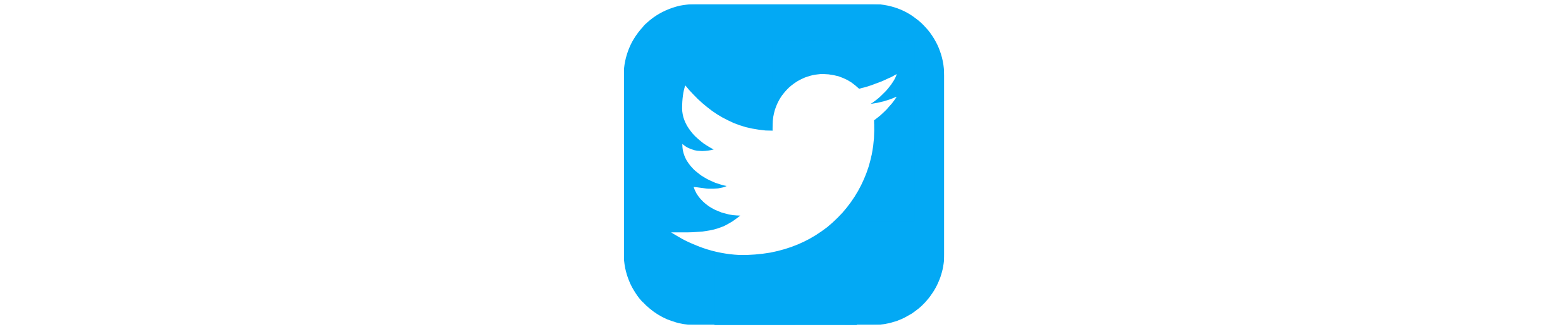 Twitter logo button