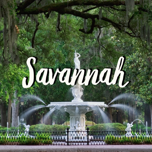 Dreaming of Savannah
