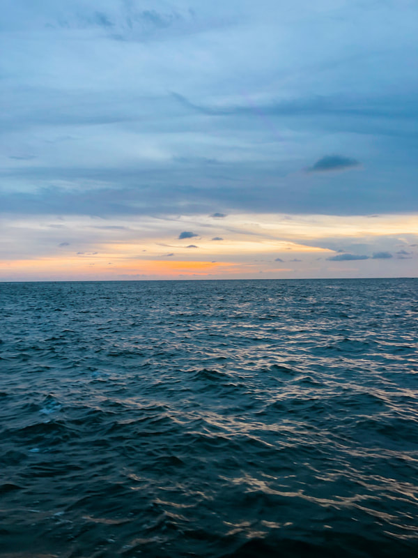 Sunset dolphin cruise